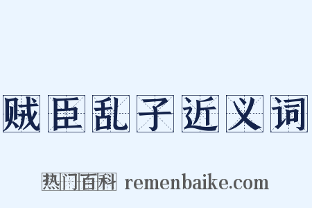 贼臣乱子近义词是什么意思的图片
